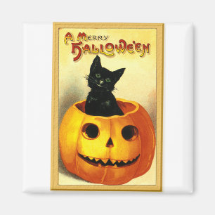 Halloween-Katze sitzt in Jack O Lantern Magnet