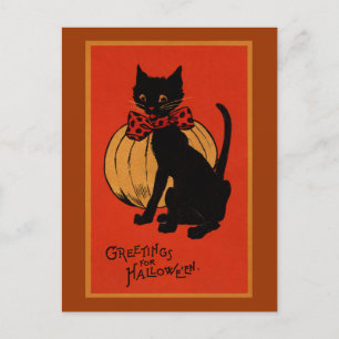 Halloween-Katze und Kürbis Postkarte