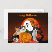 Halloween Katzen auf dem Friedhof mit Geist / Katz Postkarte (Vorne/Hinten)