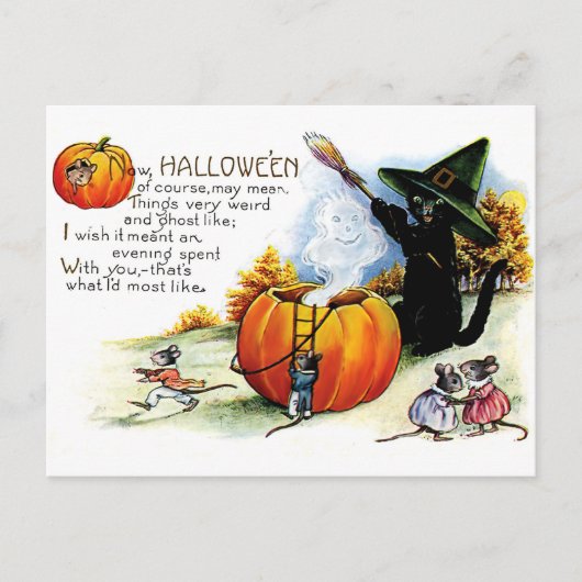 Halloween-Katzenwitscher Postkarte (Vorderseite)