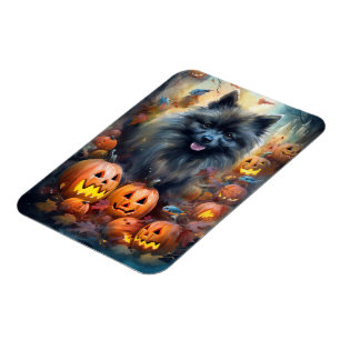 Halloween Keeshond mit Pumpkins Beängstigend Magnet