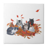 Halloween Kitty Cats Fliese (Vorderseite)