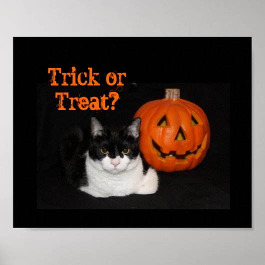 Halloween Kitty Poster (Vorne)