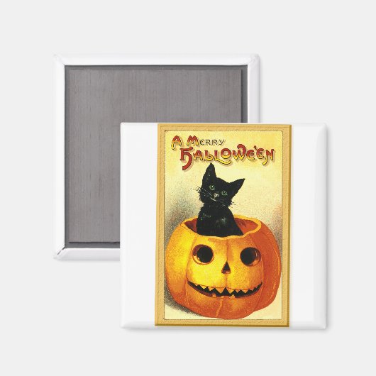 Halloween Kitty sitzt in der Kürbislaterne Magnet (Vorderseite/Rückseite)
