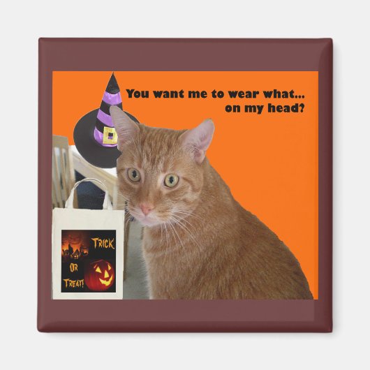 Halloween Kitty - Wear What Magnet (Vorne)