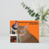 Halloween Kitty - Wear What Postkarte (Stehend Vorderseite)