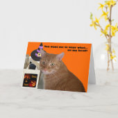 Halloween Kitty - Welche Karte tragen (Gelbe Blume)