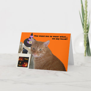Halloween Kitty - Welche Karte tragen