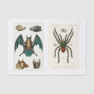 Halloween-Kollektion Seidenpapier