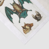 Halloween-Kollektion Seidenpapier (Ausschnitt)