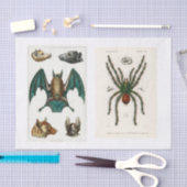 Halloween-Kollektion Seidenpapier (Handwerk)