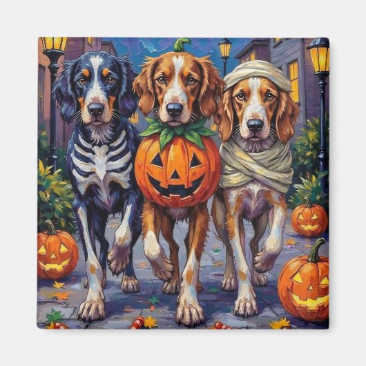 Halloween-Kostüm des englischen Setters Magnet (Vorne)