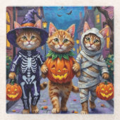 Halloween-Kostüme für persische Katzen Glasuntersetzer (Vorderseite)