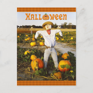 Halloween-Kürbis Postkarte