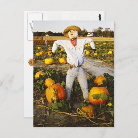 Halloween-Kürbis Postkarte (Vorne/Hinten)