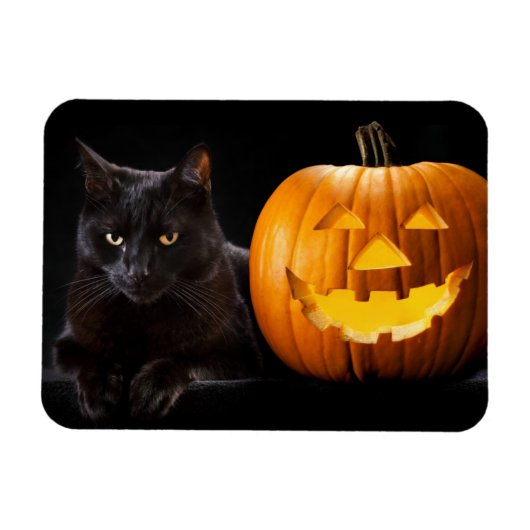 Halloween Kürbis und Schwarze Katze Magnet (Horizontal)