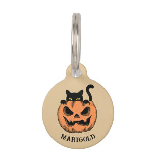 Halloween-Kürbis und schwarze Katze personalisiert Haustiermarke