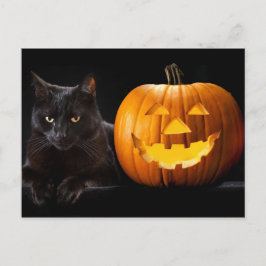 Halloween Kürbis und Schwarze Katze Postkarte