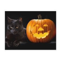 Halloween Kürbis und Schwarze Katze