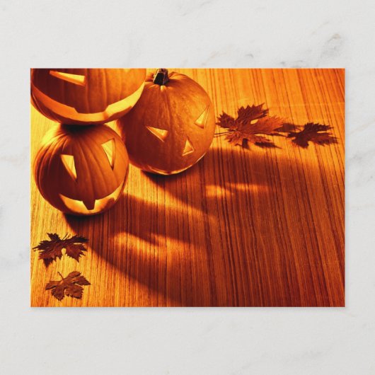 Halloween-Kürbisgrenze Postkarte (Vorderseite)