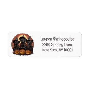 Halloween Labrador Retriever Hunde Hexenhats