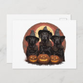 Halloween Labrador Retriever Hunde Hexenhats Postkarte (Vorne/Hinten)