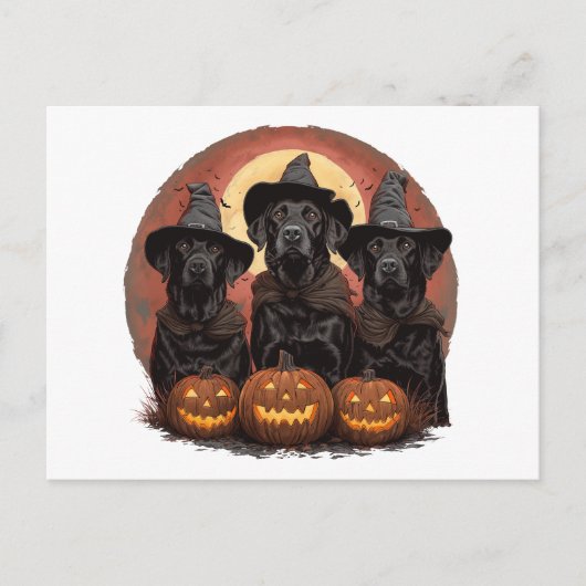 Halloween Labrador Retriever Hunde Hexenhats Postkarte (Vorderseite)