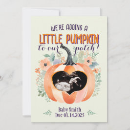 Halloween Little Pumpkin Patch Pregnancy Reveal Ankündigung