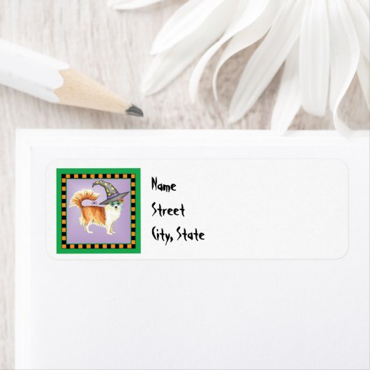 Halloween Long Coat Chihuahua Label (Insitu)