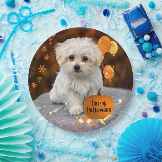 Halloween, Malteser Welpen, Pappteller (Party)