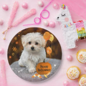 Halloween, Malteser Welpen, Pappteller (Party)