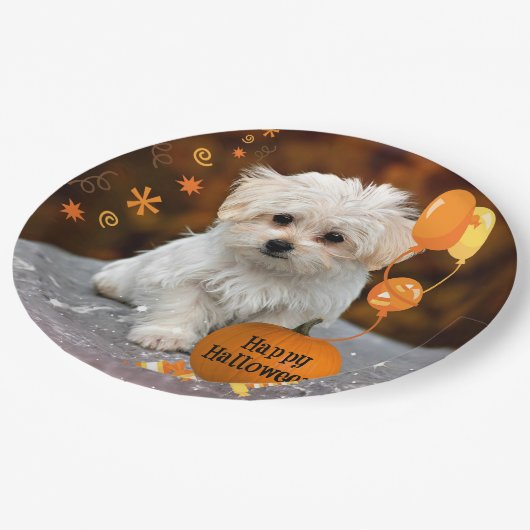 Halloween, Malteser Welpen, Pappteller (Schrägansicht)