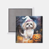 Halloween Malti Tzu mit Pumpkins Beängstigend Magnet (Vorderseite/Rückseite)