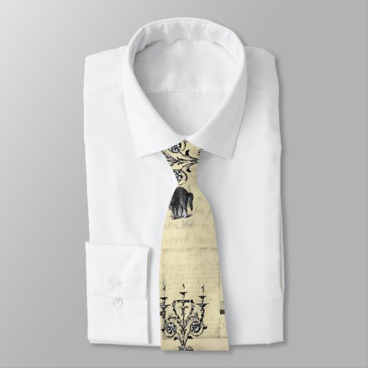 Halloween Masquerade Ball Krawatte (Gebunden)