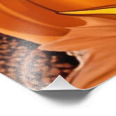 Halloween Mauer verzaubern Kunst - Autumnal Fotodruck (Ecke)