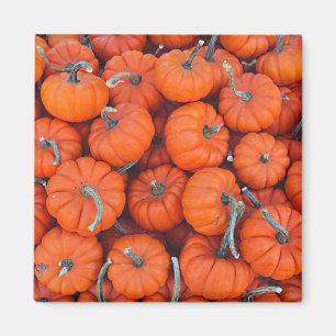 Halloween Mini Pumpkin Herbstmuster Foto Magnet