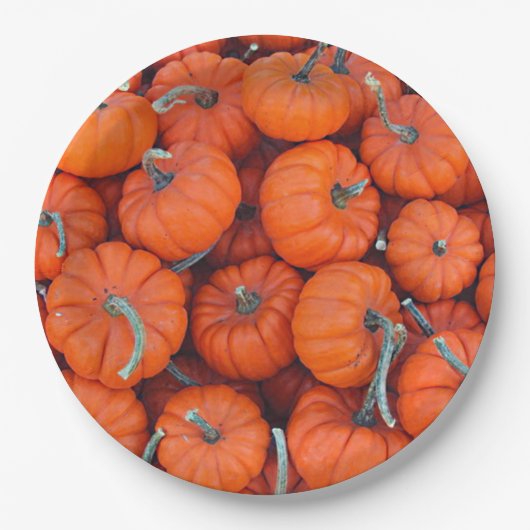 Halloween Mini Pumpkin Herbstmuster Foto Pappteller (Vorderseite)