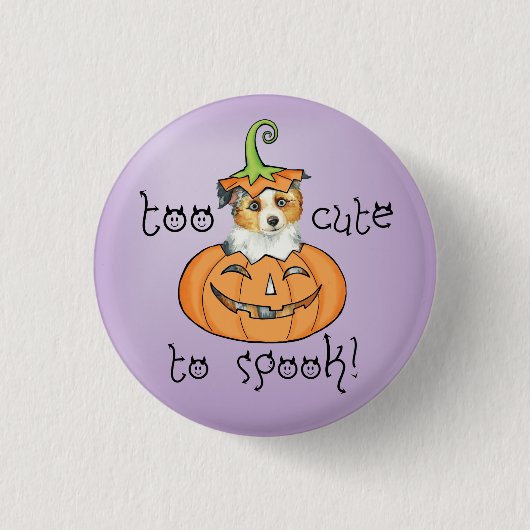 Halloween Miniaturamerikanischer Schäferhund Button (Vorderseite)