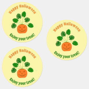 Halloween Monstera Pflanze in Pumpkin Custom Etiketten