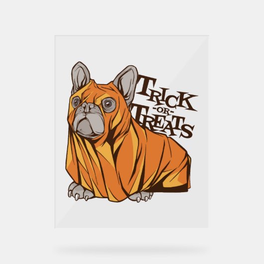 Halloween Mops Acrylschild (Vorderseite)