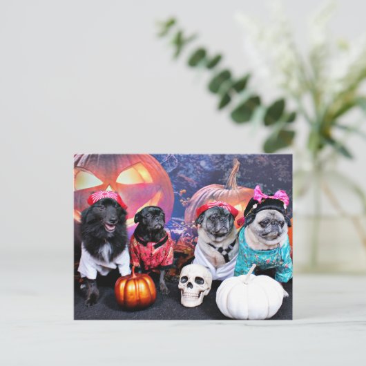 Halloween - Mops - Bruno Pearl Bear Ms Wiggens Postkarte (Stehend Vorderseite)