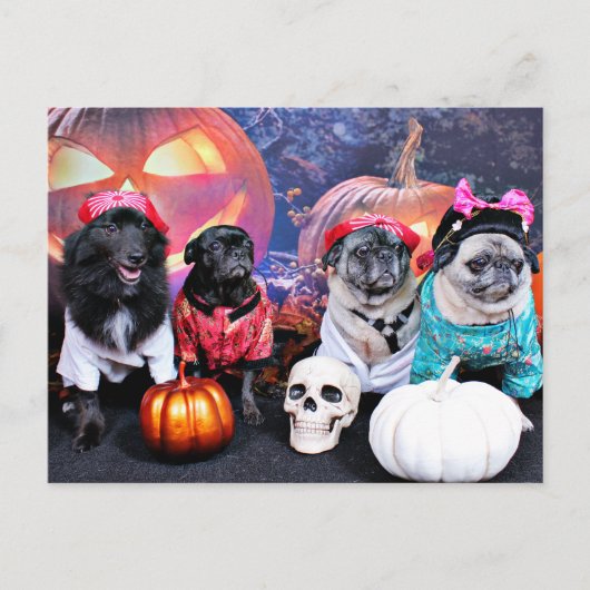 Halloween - Mops - Bruno Pearl Bear Ms Wiggens Postkarte (Vorderseite)