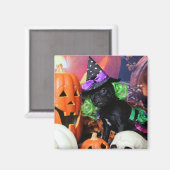 Halloween - Mops - Daisy Mae Magnet (Vorderseite/Rückseite)