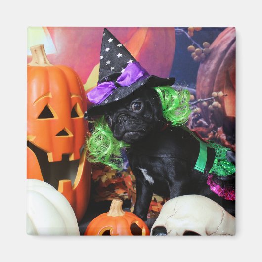 Halloween - Mops - Daisy Mae Magnet (Vorne)