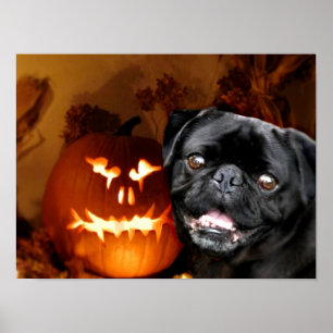 Halloween Mops Dog Poster