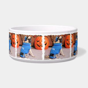 Halloween - Mops - QuaziMoto - Stephanie Napf