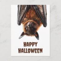 Halloween Niedlich Bat Flying Fox