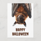 Halloween Niedlich Bat Flying Fox Postkarte (Vorderseite)
