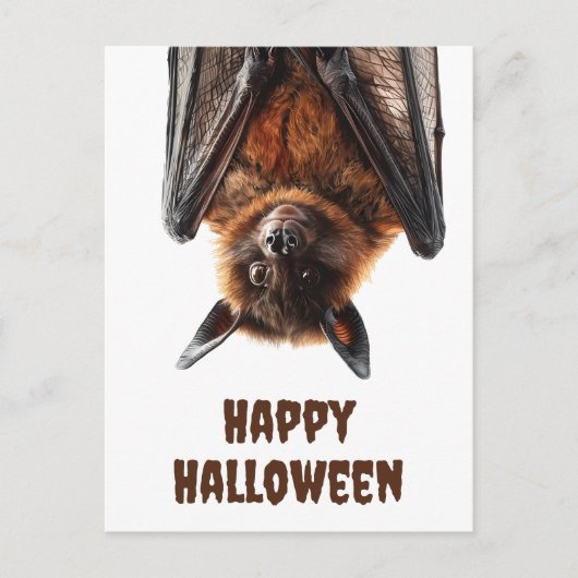 Halloween Niedlich Bat Flying Fox Postkarte (Vorderseite)