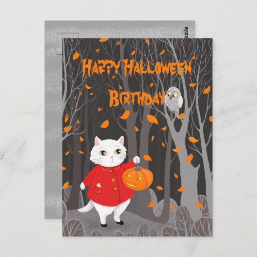 Halloween Niedlich Cat & Jack-o’-Laternenkürbis Postkarte (Vorne/Hinten)